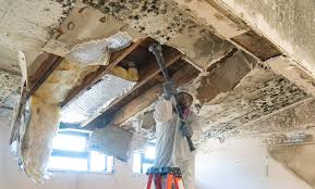 Best Asbestos and Lead Testing During Mold Inspection  in Scarsdale, NY